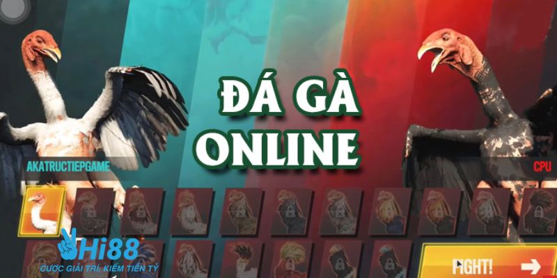 đá gà trực tiếp trên mạng Tìm hiểu chung về hình thức đá gà trực tiếp trên mạng