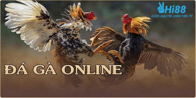 đá gà trực tiếp trên mạng