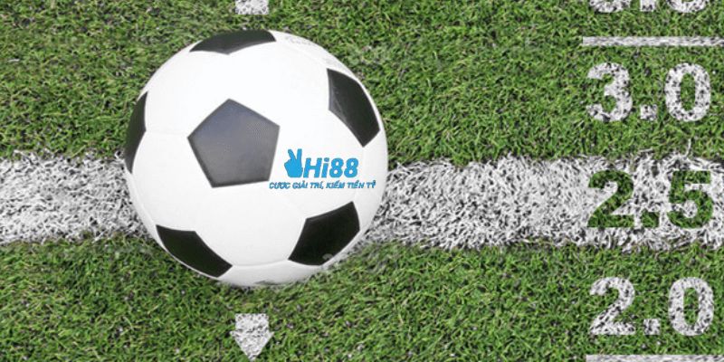 kèo tài xỉu 2.5 Giải thích những trường hợp thắng và thua khi chơi kèo