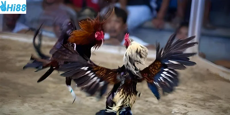 Nắm kỹ các yếu tố quyết định kết quả