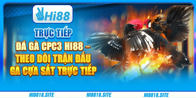 Trực Tiếp Đá Gà Cpc3 Hi88 – Theo Dõi Trận Đấu Gà Trực Tiếp