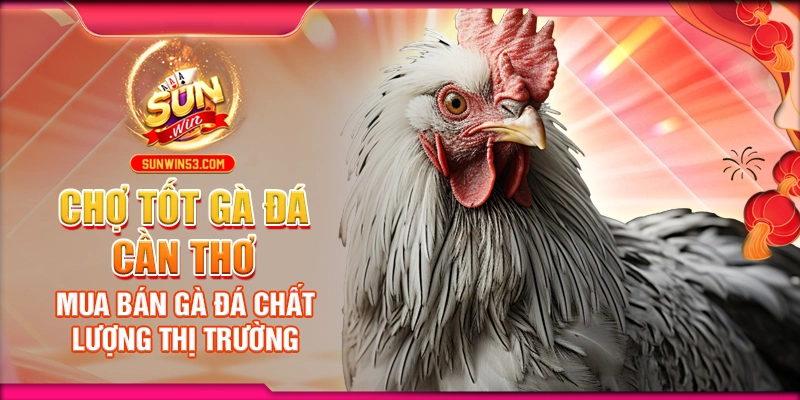 cho-tot-ga-da-can-tho-mua-ban-ga-da-chat-luong-thi-truong (1)