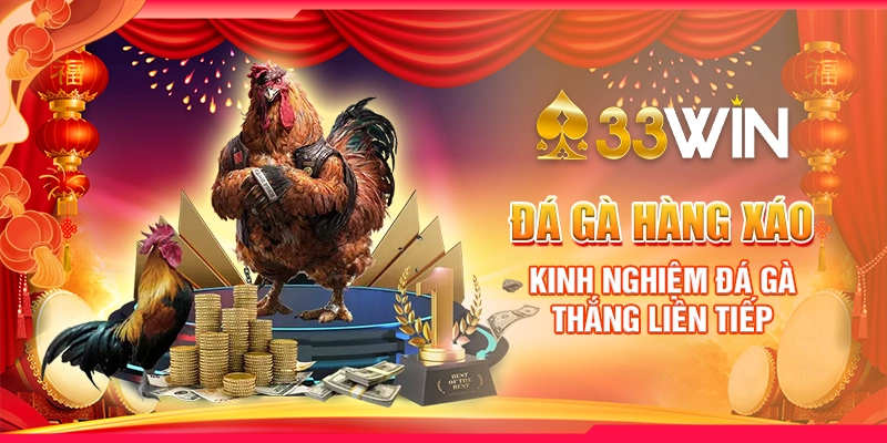 Đá Gà Hàng Xáo - Kinh Nghiệm Đá Gà Thắng Liên Tiếp
