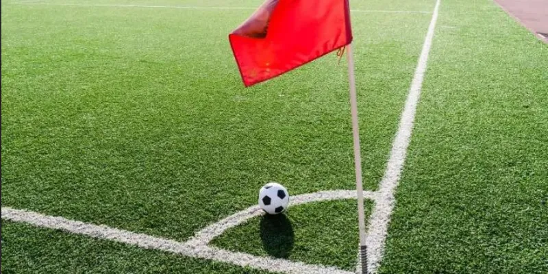 Kết hợp loại cược chuẩn