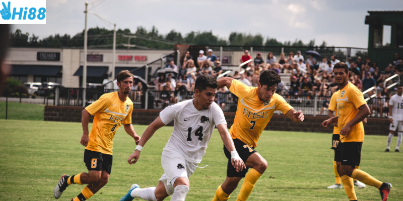 Độ chính xác cao và giao diện dễ sử dụng