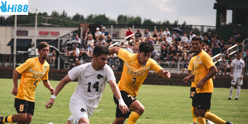 Tỷ lệ kèo chính xác và hỗ trợ phân tích trận đấu