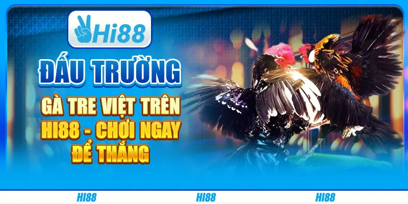 Đấu Trường Gà Tre Việt Trên Hi88 - Chơi Ngay Để Thắng