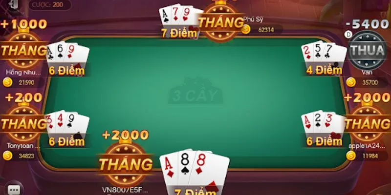 Các loại bài đặc biệt trong ba cây