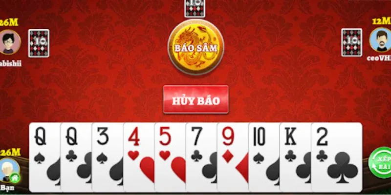 Danh sách các loại bài quan trọng trong sâm